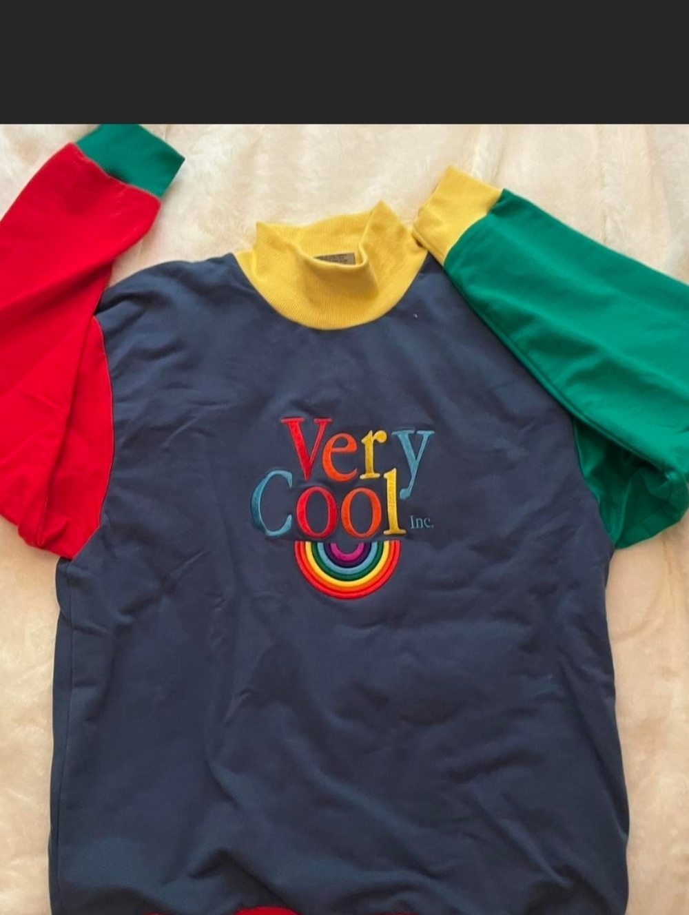 Cool Rainbow Sweatshirt Unisex Pullover Colorblock Embroidered Size XL